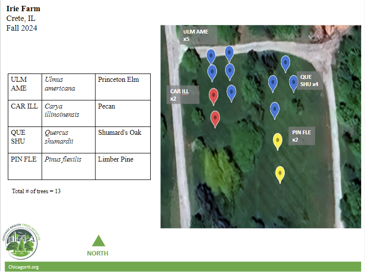 CRTI Tree Planting Map